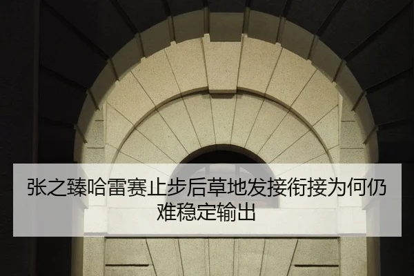 张之臻哈雷赛止步后草地发接衔接为何仍难稳定输出 | HTH FIFA WorldCup