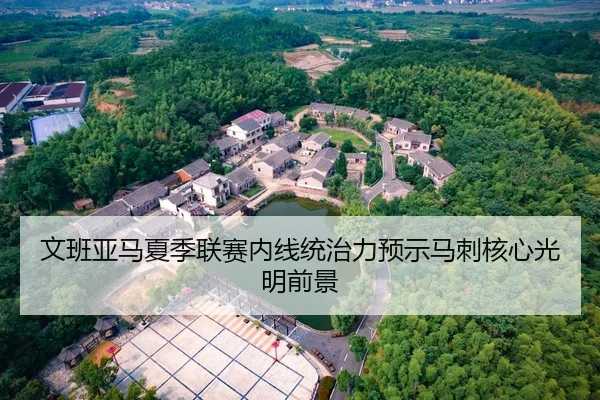 文班亚马夏季联赛内线统治力预示马刺核心光明前景